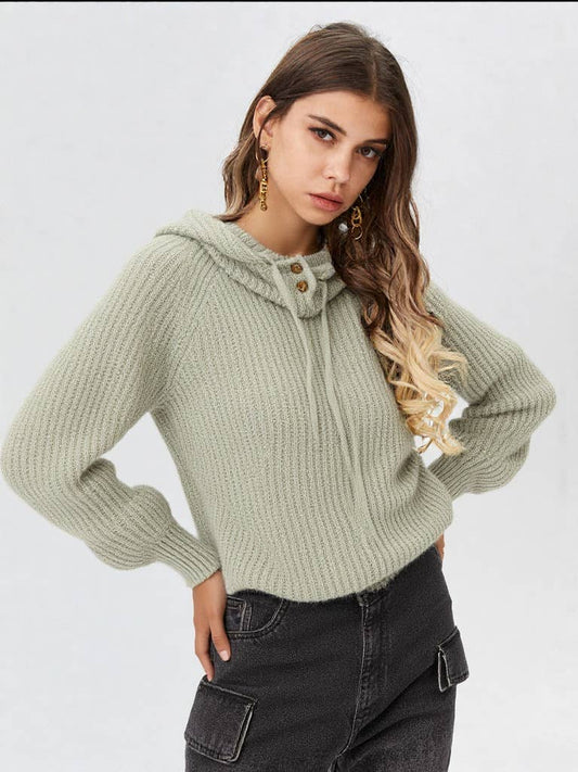 Brenna Baclava Hoodie Soft Knit Sweater