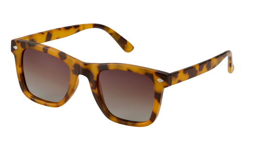 Biscayne Sunglasses: Tortoise